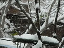 DSCN1698