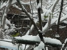 DSCN1701