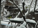 DSCN1704