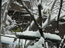 DSCN1705
