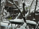 DSCN1706