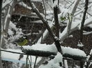 DSCN1707