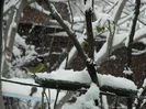 DSCN1708