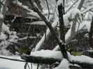 DSCN2096