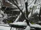DSCN2097
