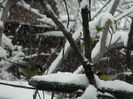 DSCN2098