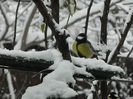 DSCN2428
