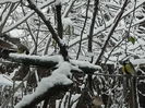 DSCN2437