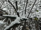 DSCN2438