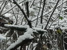 DSCN2439