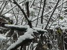 DSCN2440