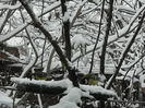 DSCN2496