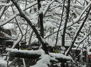 DSCN2498