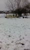 IMG_20150110_100854