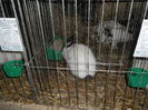 SAM_3433