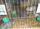 SAM_3435