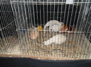 SAM_3447