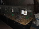 SAM_3455