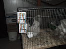 SAM_3457