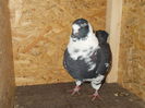 DSCN0074