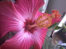 20150110_084941