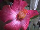 20150110_085019