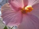 20150109_130501
