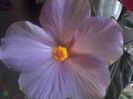 20150110_085205