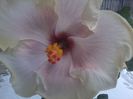 20141228_142400