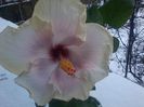 20141228_142337