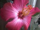 20150110_084954