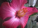 20150110_085004
