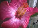 20150110_085007
