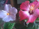 20150110_085350