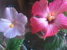 20150110_085357