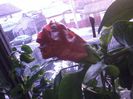 20150110_162324