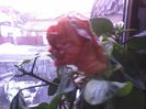 20150110_162335