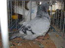 Picture 1323