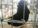 Picture 1331