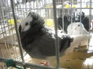 Picture 1333