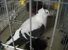 Picture 1340
