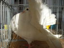 Picture 1342