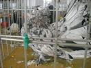 Picture 1346