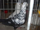 Picture 1352