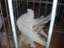 Picture 1357
