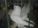 Picture 1358