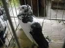 Picture 1367