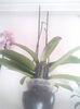 2015-01-11 13.48.52