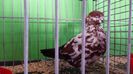20150111_105057