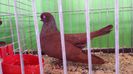 20150111_105130